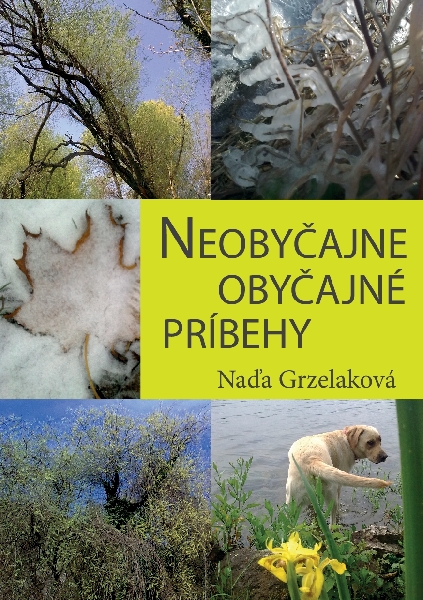 Neobyčajne obyčajné príbehy