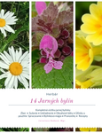 Herbár 14 Jarných bylín